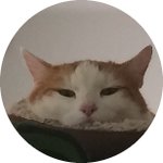 Sporcle profile picture for @sideways