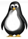 Sporcle profile picture for @Penguin
