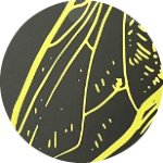 Sporcle profile picture for @BlackBird