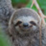 Sporcle profile picture for @olympic