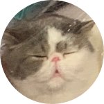 Sporcle profile picture for @Asian