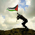 Sporcle profile picture for @Palestinian