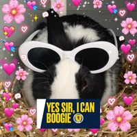 Sporcle profile picture for @Isl