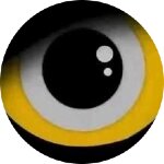 Sporcle profile picture for @jaat