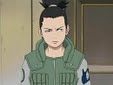 Sporcle profile picture for @Shikamaru