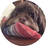 Sporcle profile picture for @kremlin