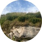 Sporcle profile picture for @Northumberland