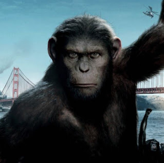 Sporcle profile picture for @mrdoctor