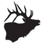 Sporcle profile picture for @Elk