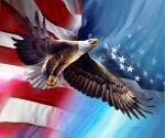 Sporcle profile picture for @American