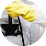 Sporcle profile picture for @extermination